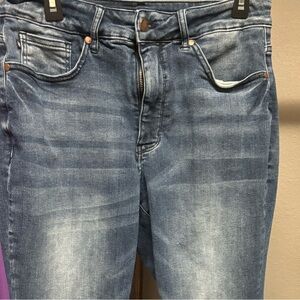 Judy Blue Skinny Jeans- size 14W